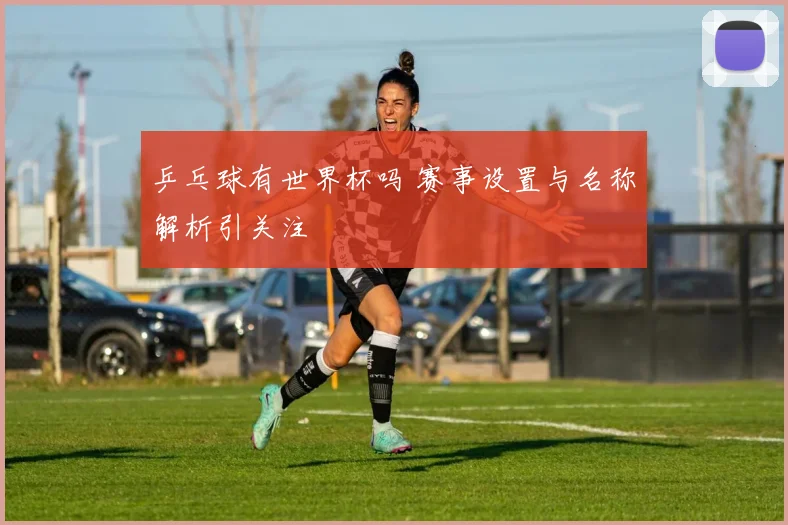 乒乓球有世界杯吗 赛事设置与名称解析引关注