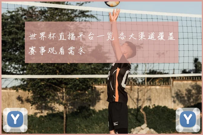 世界杯直播平台一览 各大渠道覆盖赛事观看需求